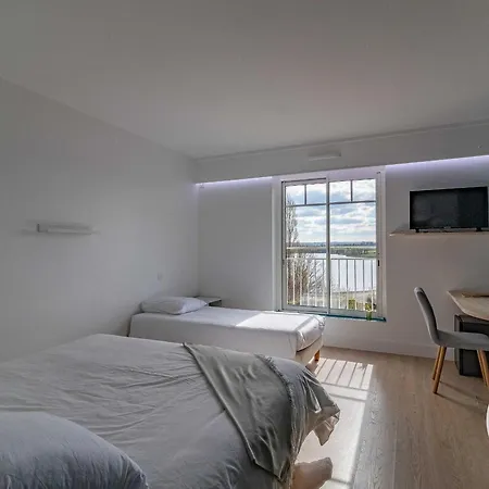 Renovee A Avec Piscine Privee Et Vue Sur Le Lac, Ideale Pour 15 Personnes - Fr-1-622-105 Holiday home Cholet